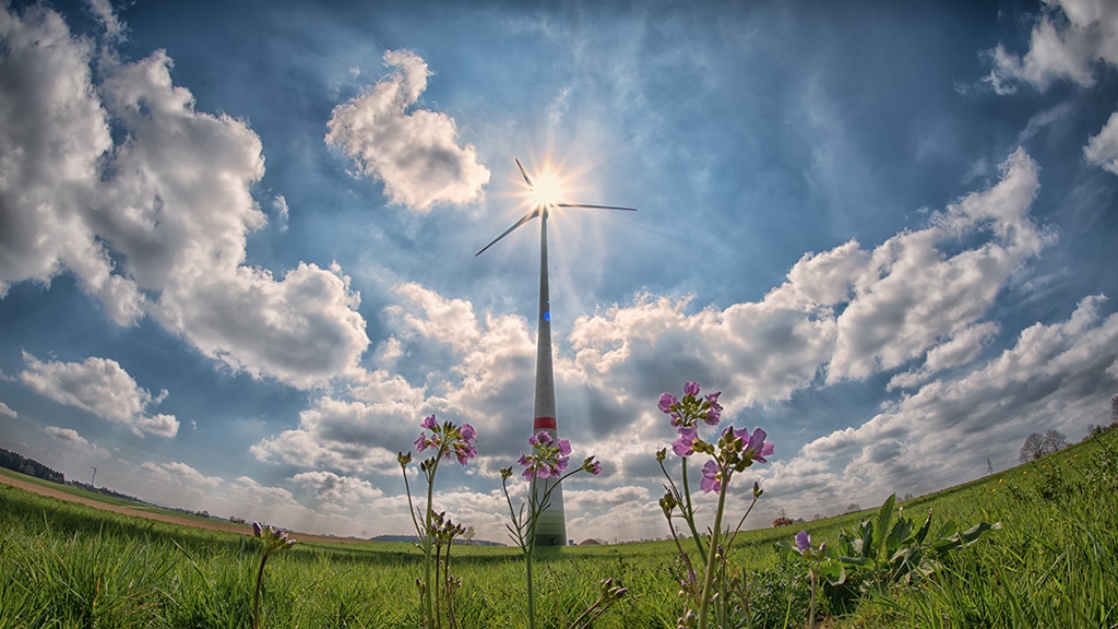 valorización energética en la economía circular leonardo gestión de residuos