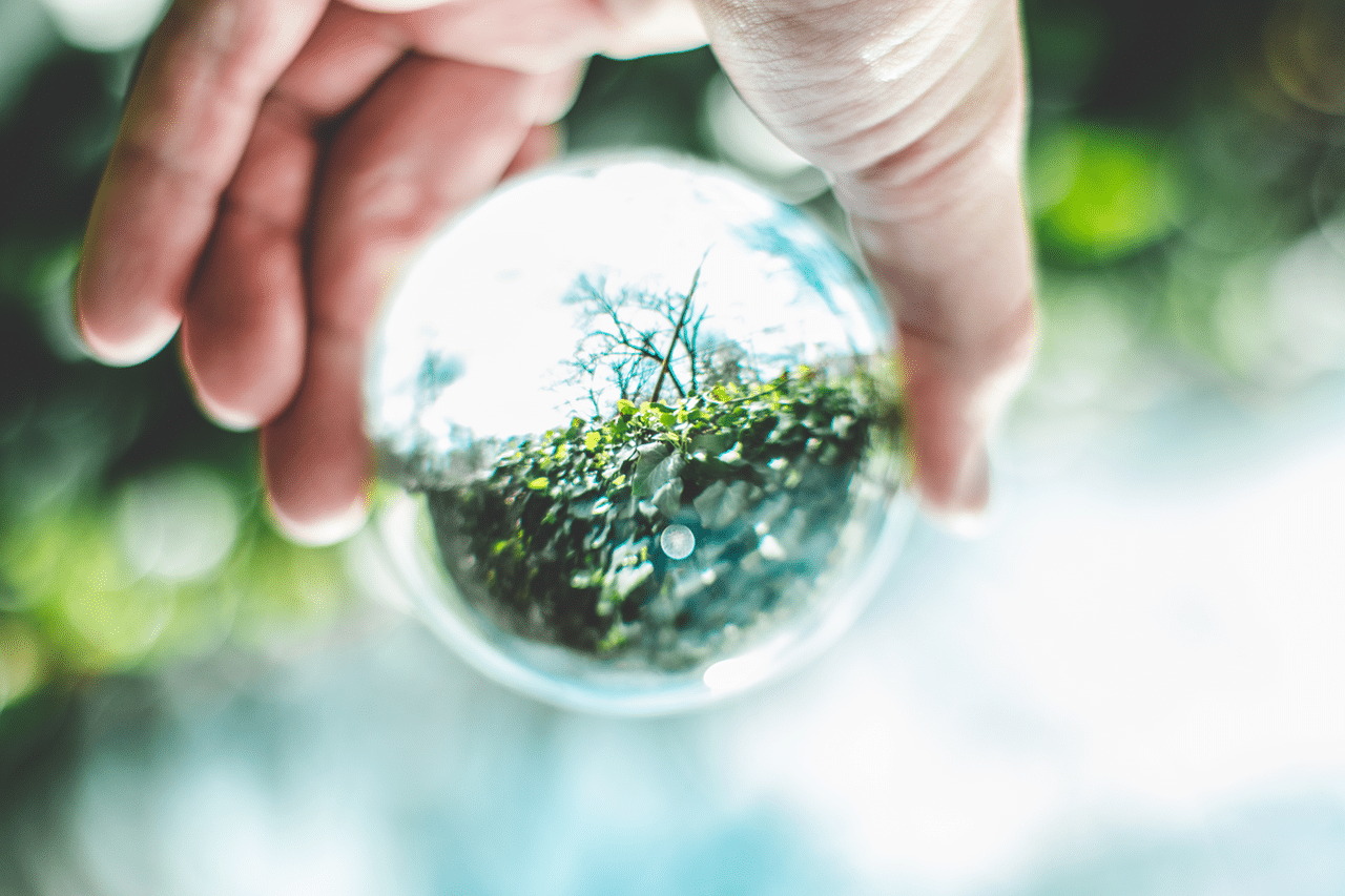 Cómo debe ser una buena estrategia ambiental en la empresa